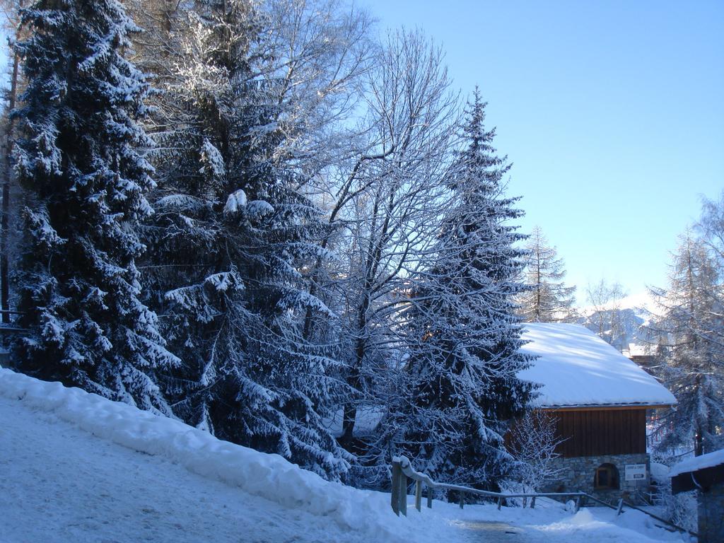 Apartment Les Coches La Plagne Dış mekan fotoğraf